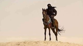 картинка: 💞 Идва ли към вас в живота ви нов партньор? - ОБЩА таро наредба