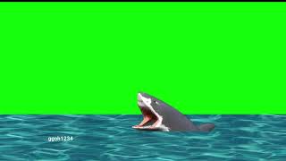 Royalty Free Megalodon The Once Extinct Ancient Shark Is Back In Green Screen