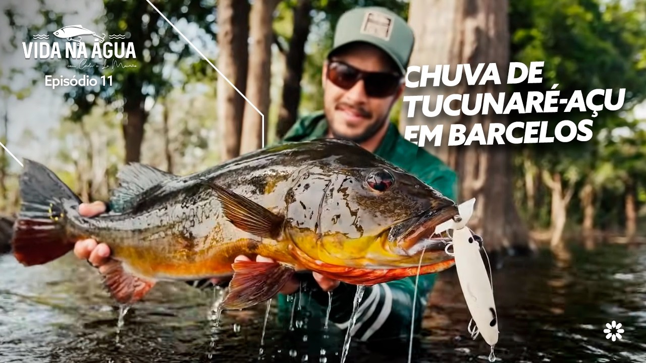 CHUVA DE TUCUNARÉ-AÇU EM BARCELOS! Isca de Hélice Insana na Amazônia