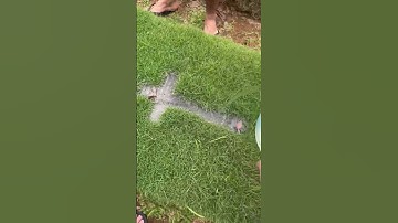 Thumbnail of siapa yg pernah liat kuburan ditimpa? #shorts #shortvideo #viral