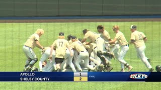 A walk-off hit sends Shelby County to first state baseball title since 2007