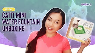 Stella Bella Ca Mini Water Fountain Unboxing
