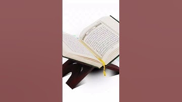 من أجمل ما قرأ القارئ أمين موسى. ج١١٦