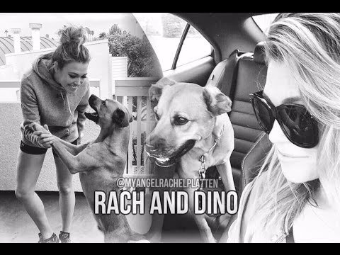 Rachel Platten And Dino Youtube