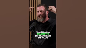 Unlocking the Power of Your Anterior Mid Cingulate Cortex 🧠💪