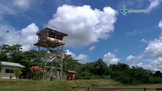 Pluspetrol - Transporte Aereo