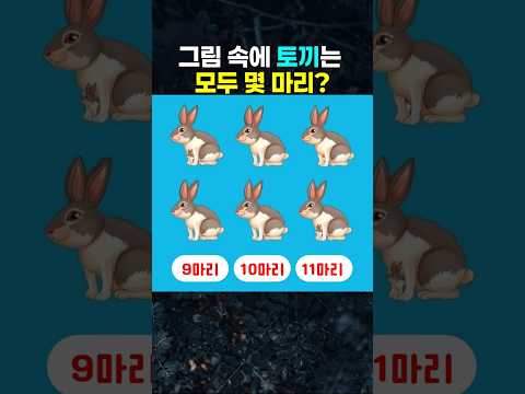 토끼가 몇 마리인지 보인다면 <strong>신의</strong> 눈썰미