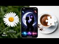 Faloria – 25+ Fortune &amp; Spiritual Modes in One App | All-in-One AI Fortune Teller