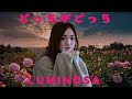 Luminosa 『どっちがどっち』 Music Video　Nikon Z6Ⅲ 6K Raw