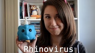 Viruses and the Common Cold! - Bite Sci-zed