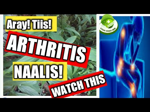 #44 Serpentina -  GAMOT sa Arthritis,Rayuma - HERBAL, CURE, HOME REMEDY, HOW TO TREAT | Likas Lunas