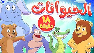 marah tv - قناة مرح| أغنية الحيوانات ومجموعة اغاني الاطفال