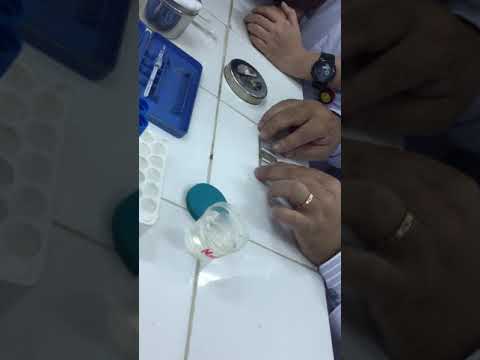 Video Đếm hồng cầu - youtube