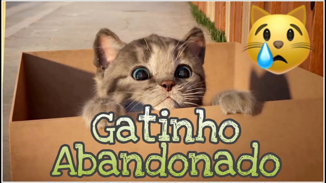 Gatinhos fofos participando de um jogo dentro do forte de