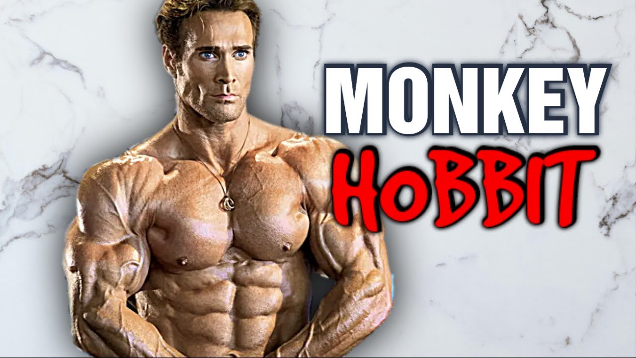 Mike O'Tren "You Monkey Hobbit"