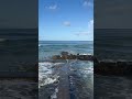 Oahu | Hawaii #oahu #hawaii #waves #sounds #water #life #peace #enjoy #ai #shortsfeed #viral #vlog