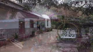 Peaceful Homestay Near Da Lat 🇻🇳 | Quiet Life in the Mountains of Lam Dong, Vietnam screenshot 5