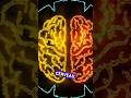 Arrêtez de croire au mensonge des 10% #cerveau #information