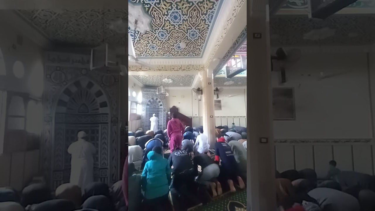 ١٤ يناير ٢٠٢٦