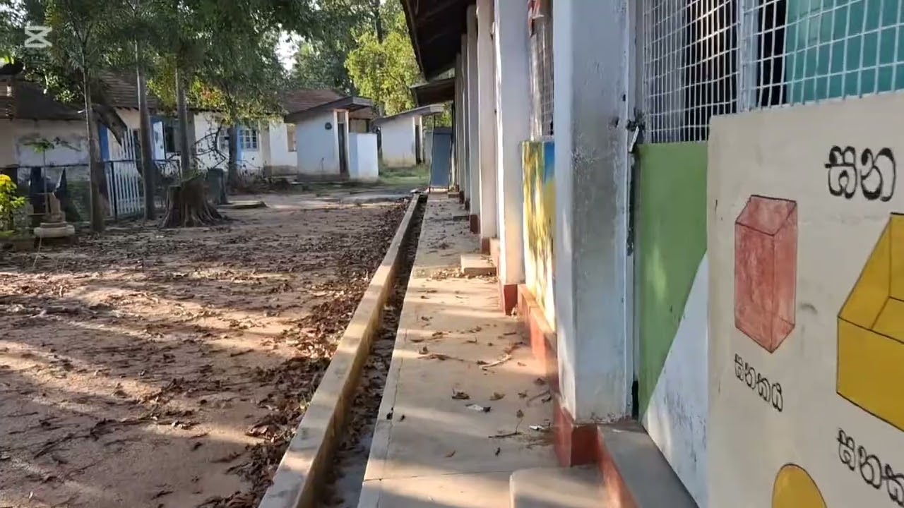 අපේ ජීවිතවල සතුට නැවතුන තැන 😪