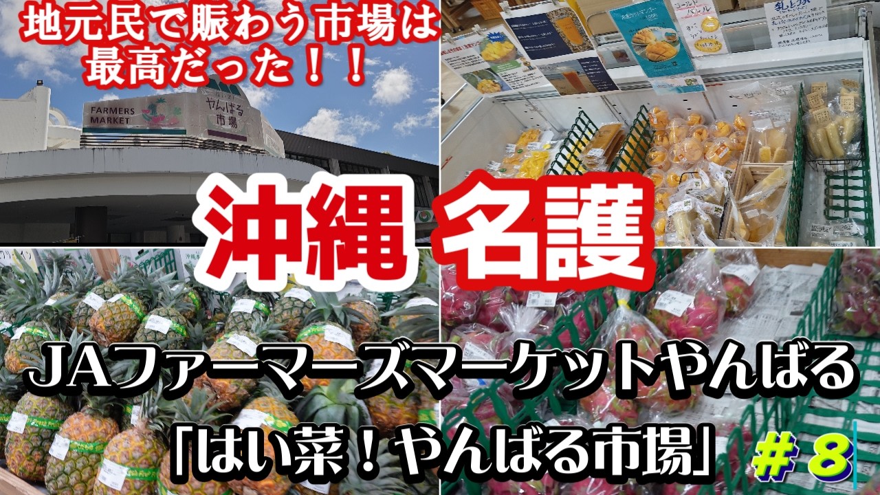 沖縄名護の市場「JAファーマーズマーケットやんばる  はい菜！やんばる市場」激安新鮮で最高！🥩沖縄県産お肉やお魚🍍果物野菜お惣菜お土産何でも揃う地元人気の直売所沖縄観光におすすめ沖縄旅行vlog