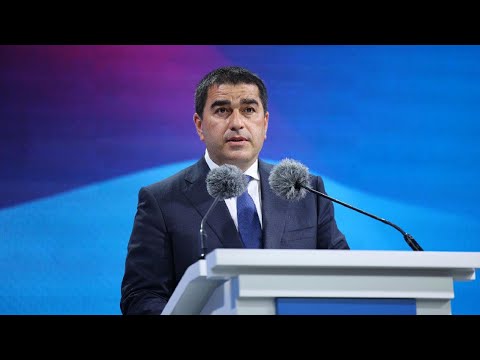 შალვა პაპუაშვილის ბრიფინგი