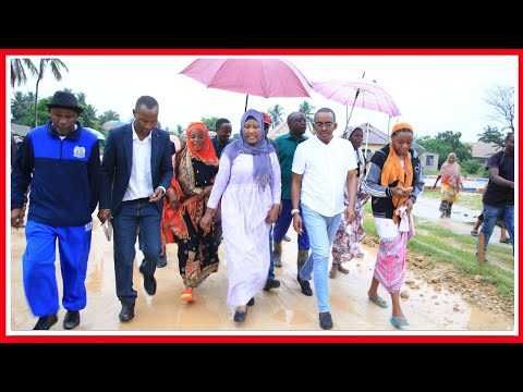 Video: Hifadhi ya Mazingira ya Jimbo la Zeysky, Mkoa wa Amur