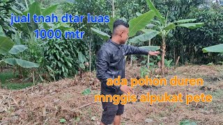 Download Lagu #jual kebun duren mnggis pete luas 1000 mtr surt sppt girik c desa bisa nik ajb shm hrga 150 jta  MP3