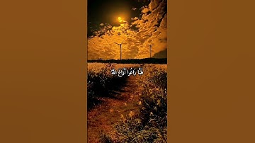 #سورة الصف بصوت طارق محمد ❤️#القرآن الكريم #سورة الصف
