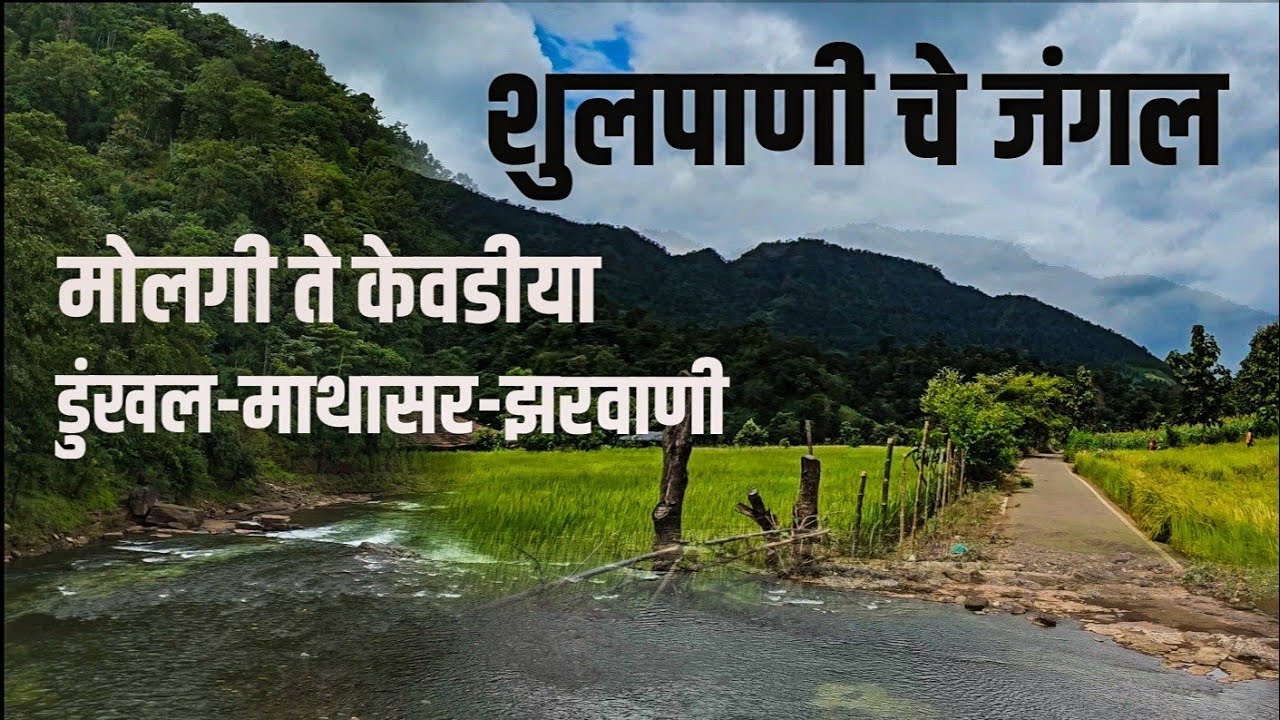 Molgi to kevdia dumkhal, mathasar, zarwani