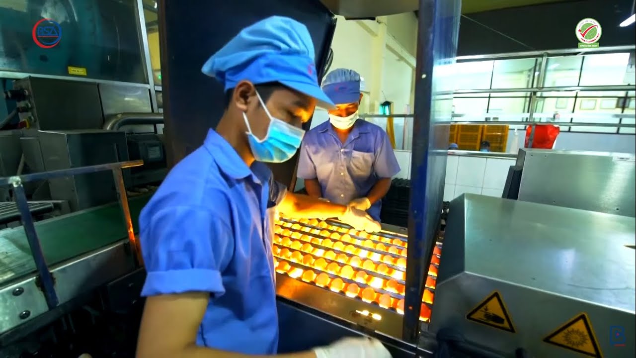 Vĩnh Thành Đạt: Xây dựng thương hiệu trứng gia cầm từ công nghệ và tiêu chuẩn