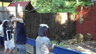 Battle Axe Throwing Competition at Renaissance Festival MD 2010