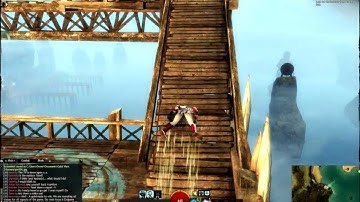 Guild Wars 2 sliding animation bug