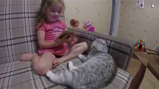 Любовь и Дружба между Кошкой и Ребенком😻 Коты и Дети Кошка Хлоя 🐱 Scottish Fold Cat vs Kids Любовь и Дружба между Кошкой и Ребенком😻 Коты и Дети Кошка Хлоя 🐱 Scottish Fold Cat vs Kids