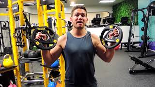Standing Rear Delt Plate Flies