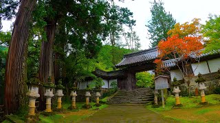 Kyoto Walk - Saimyoji Temple - 4K
