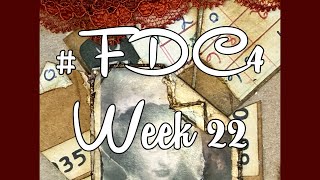 #fdc4 week 22 | hosted by @ShanoukiArt 