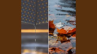 Lovely Backdrops for Winter Creativity