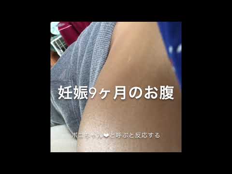 【妊娠9ヶ月】凄い動く！胎動 2017.06.05