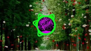 Download Lagu Dj yank haus remix cover DYLLA NADA MP3