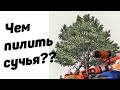 Аккумуляторная цепная пила drillpro H06527 с алиэкспресс. Чем пилить ветки? дёшево и без проблем!