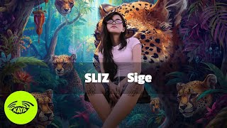 SLIZ - Sige | OPM Chill Pinoy Lo-Fi Original | Kaya Sesh
