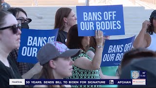 Planned Parenthood, local groups organize following Supreme Court abortion ruling
