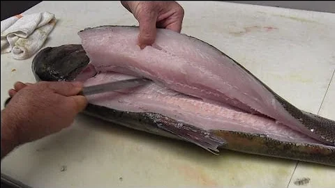 EDIBLE INVASIVE SPECIES: ASIAN CARP