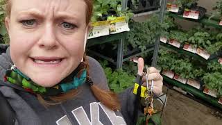 Fanciful Adventures of a Curious Ginger: Me vs yard / Learning How To Garden