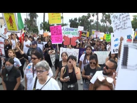 Vídeo: Juiz Bloqueia Trump DACA