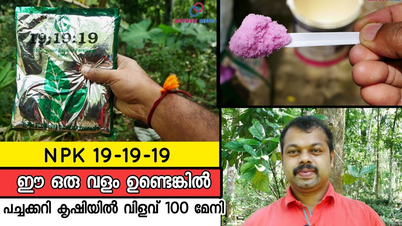 ഈ ഒരു വളം ഉണ്ടെങ്കിൽ പച്ചക്കറി കൃഷിയിൽ നൂറ് മേനി ഉറപ്പാണ് | NPK 19:19:19 | Water Soluble Fertilizer