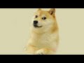 R.I.P Doge, Fly high. Do not cry because its over, Smile because it happened