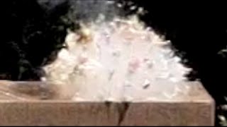 Fruit Explosions @ 600 FPS + 1200 FPS
