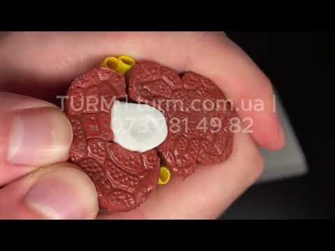 Модель м'язів та нервів ліктьової частини 1:1, видео 1